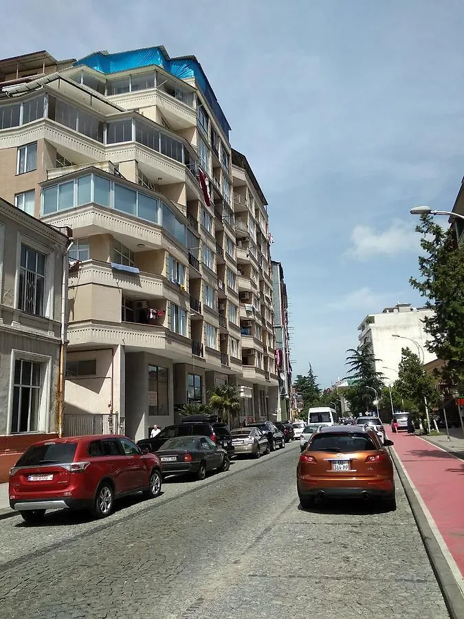 Luxury Apartment In The Center Of باتومي 0*,